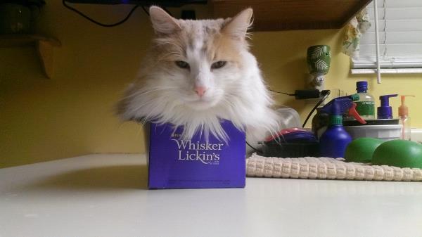 /Images/uploads/Humane Society of Utah/HSUCalendar/entries/1619thumb.jpg